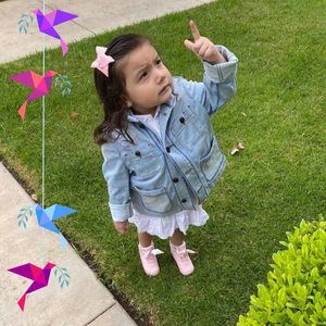 Meet your Posher, Ramon